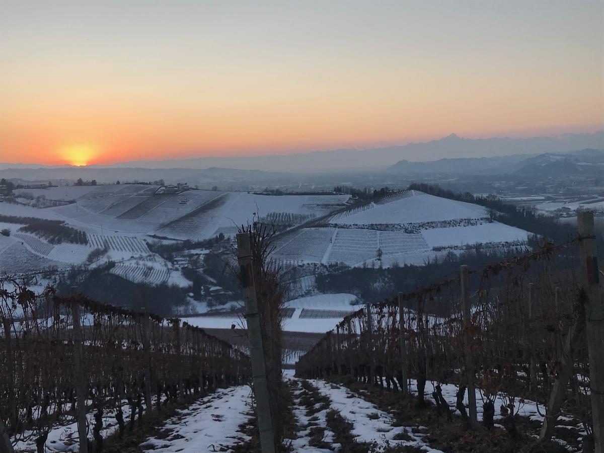 Agriturismo Tre Stelle Барбареско Экстерьер фото